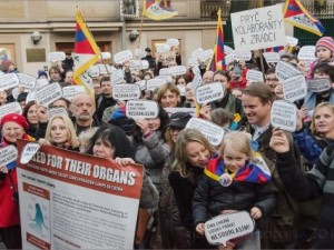 Liberálně ekologická strana nesouhlasí s politikou prezidenta a vlády vůči Tibetu a Číně a kritizuje porušování lidských práv
